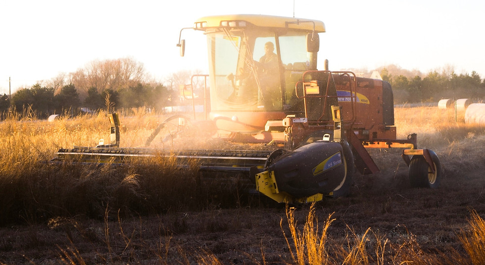 Sunset Harvest
