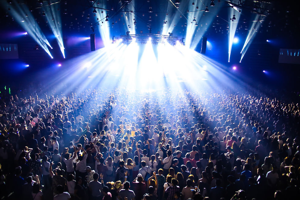 Concert Crowd Lights