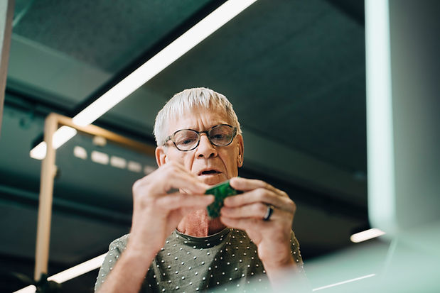 Senior programmerare