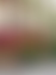 Top 10 Best Restaurants To Dine Cape Town 2025