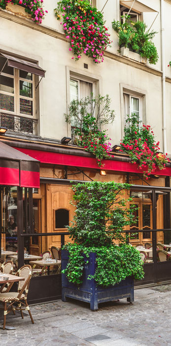 French cafe