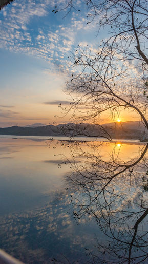 O QUE QUERO COMPARTILHAR COM VOCÊ