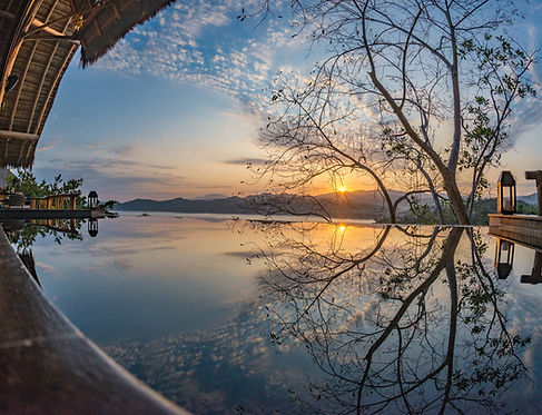 Constelaciones Familiares en Linea