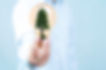 Renewable energy concept with a hand holding a light bulb with a tree inside