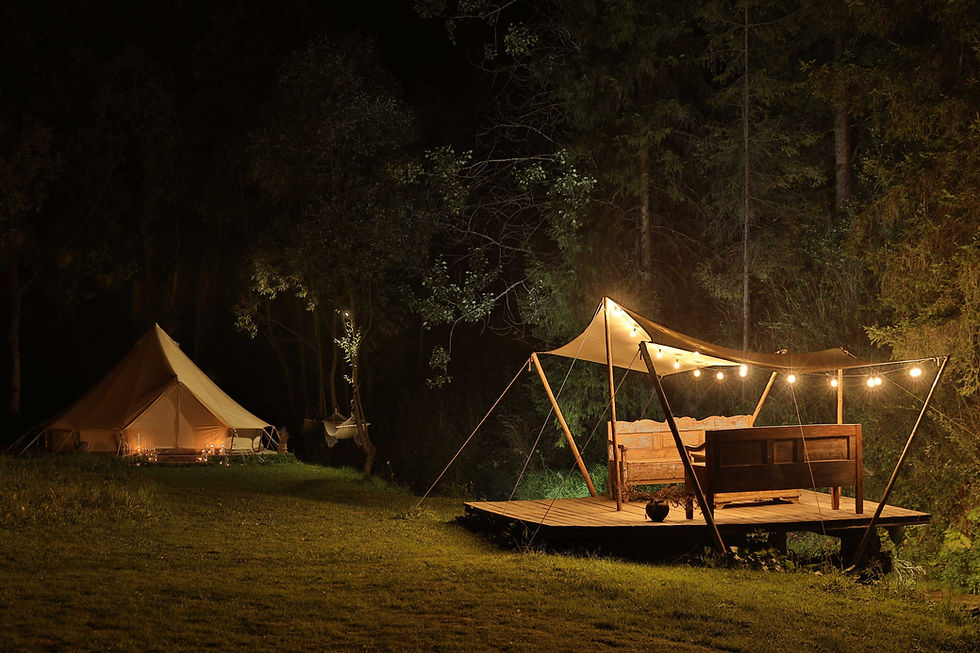 Night Camping Scene