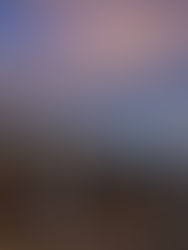 Doce niños y niñas de Colombia y Senegal ganan importante reconocimiento en festival internacional de cine