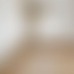 Window Dressings: Curtains and Blinds