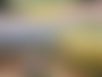 The Schoolmistress of Cottonwood Springs