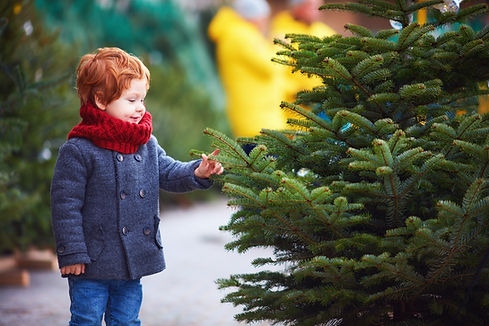 Child Choosing Tree