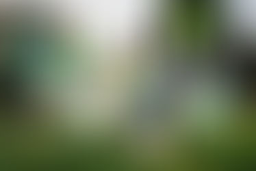 April Updates