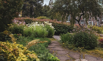 Allée de jardin luxuriant