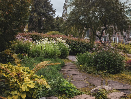 Garden beautifully designed in CA to signify peace in insurance
