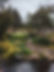 Lush Garden Pathway