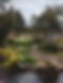 Lush Garden Pathway