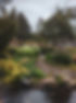 Lush Garden Pathway