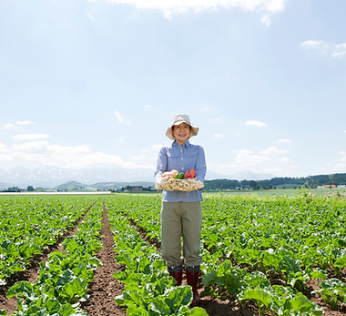 Landwirt pflücken Gemüse