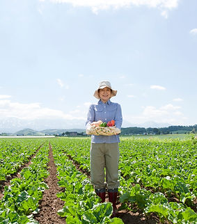 Farmer Picking Vegetables