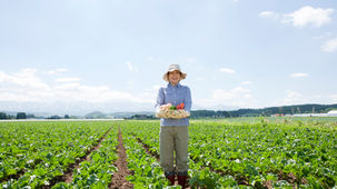 Best Practices for Managing Plant Nutrients