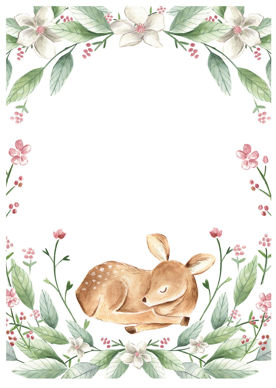 Sleeping Fawn Illustration