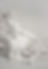 Witte buste