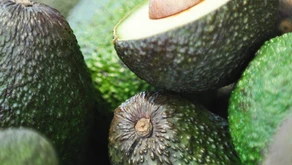 Avocado Season is Here