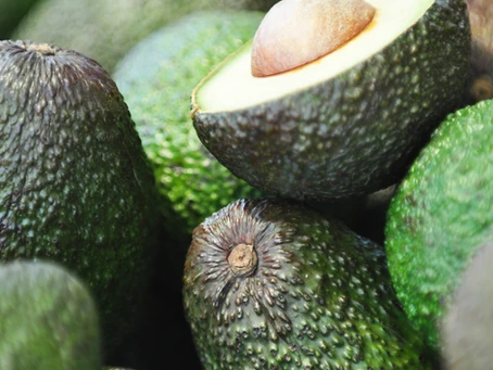 Avocado Season is Here