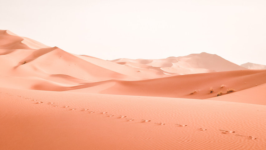 Dunes de sable