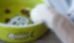 Cat_s Paw