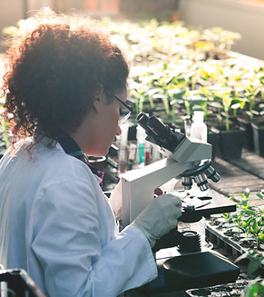 Plant Biologist