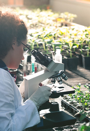 Biologiste des plantes