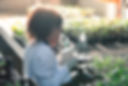 Plant Biologist