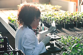 Plant Biologist