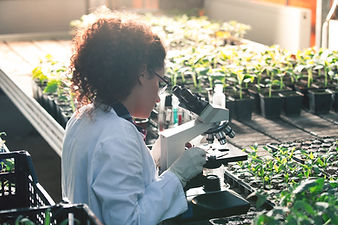 Plant Biologist