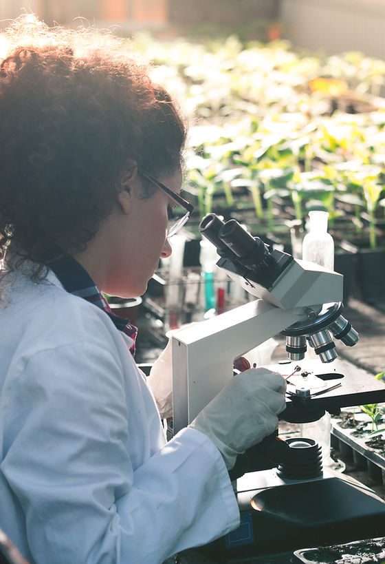 Biologiste des plantes