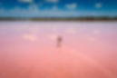 Walking on Pink Water