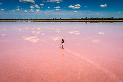 Walking on Pink Water