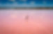 Walking on Pink Water