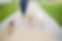 Walking Dogs
