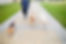 Walking Dogs