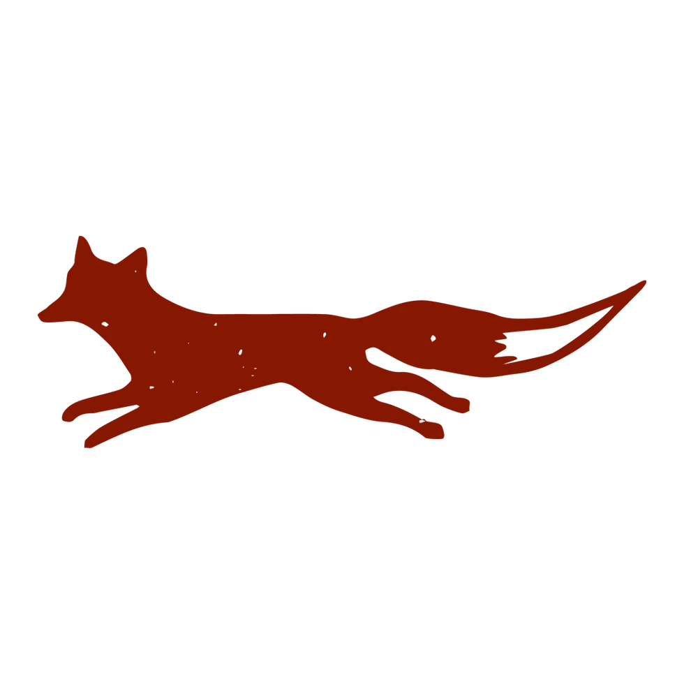 Silhouette Of Fox