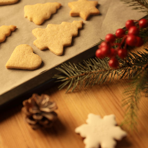 Fun-Filled Christmas Party For Beekeepers  and Gardeners  Club