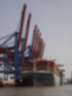 Cranes at the Port
