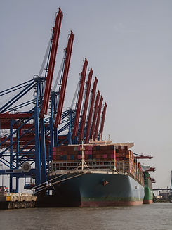 Cranes at the Port