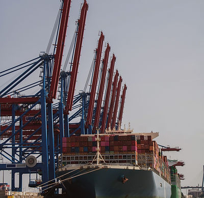 Cranes at the Port