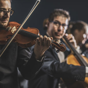 Bald schon ist Weihnachtszeit: Adventszauber bei den Winzern in Meißen