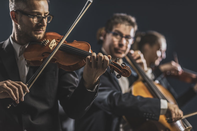 Les joueurs de violon