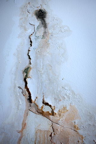 Serious damp problem with a painted wall. Paint is bubbling and peeling