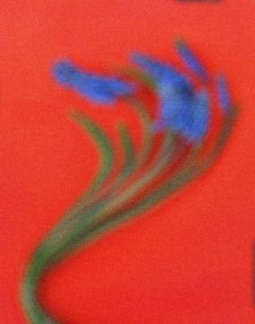 Flores azules borrosas