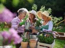 A Guide to Expanding Your Circle and Enjoying the Next Chapter