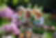 Elderly women gardening
